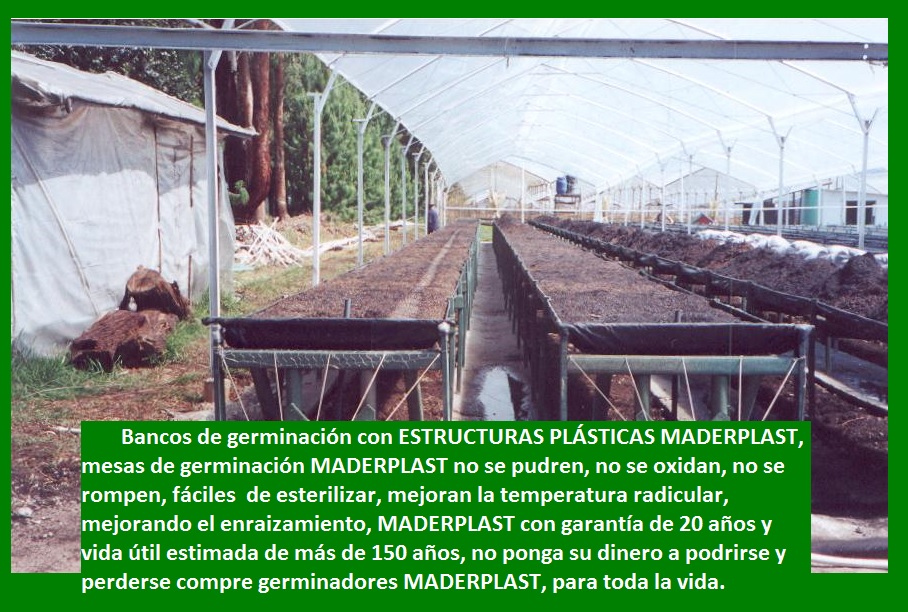 banco para cultivar plantas sembrar plantar germinar enraizar sustrato tierra vegetal cultivo tecnificado de flores legumbres arboles plantas hortalizas en mesón mesa para germinar propagar 002 banco para cultivar plantas sembrar plantar germinar enraizar sustrato tierra vegetal cultivo tecnificado de flores legumbres arboles plantas hortalizas en mesón mesa para germinar propagar 002 07 08 09 banco para cultivar plantas sembrar plantar germinar enraizar sustrato tierra vegetal cultivo tecnificado de flores legumbres arboles plantas hortalizas en mesón mesa para germinar propagar 002